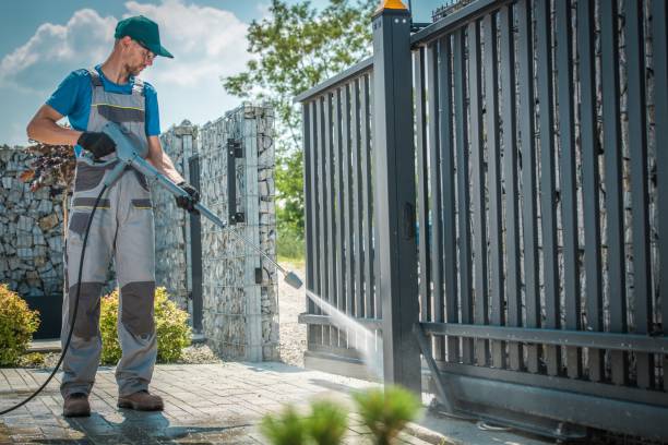 Best Roof Washing  in Dunnavant, AL