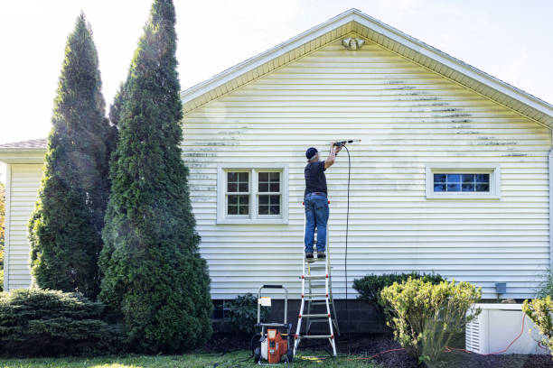 Best Warehouse Cleaning  in Dunnavant, AL
